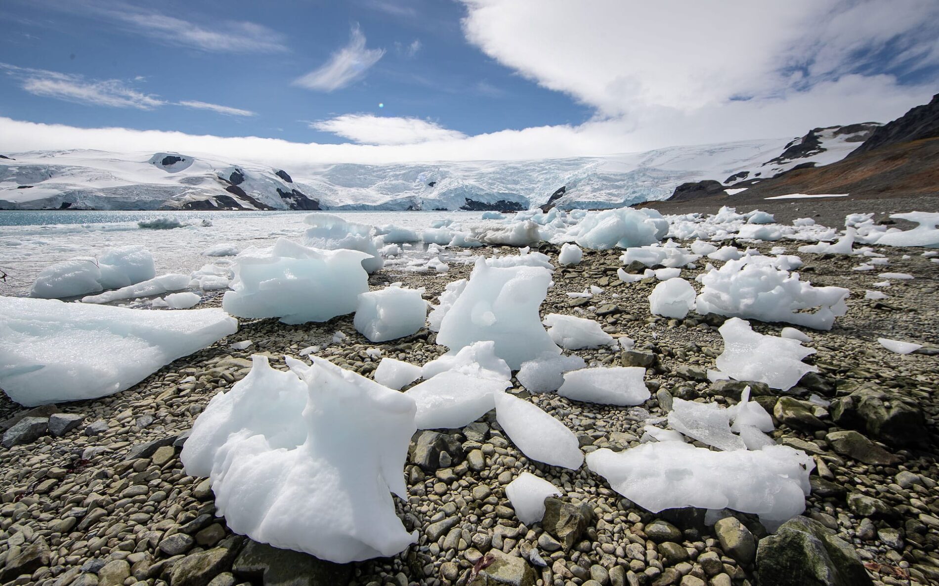 Icebergs na costa rochosa.