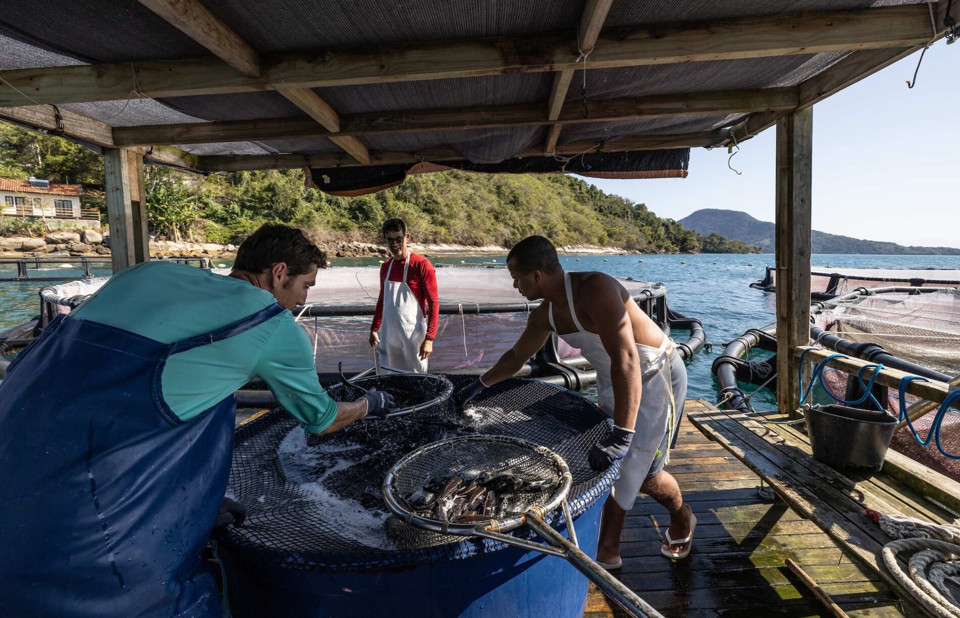 Dois homens preparam peixe em um barco.