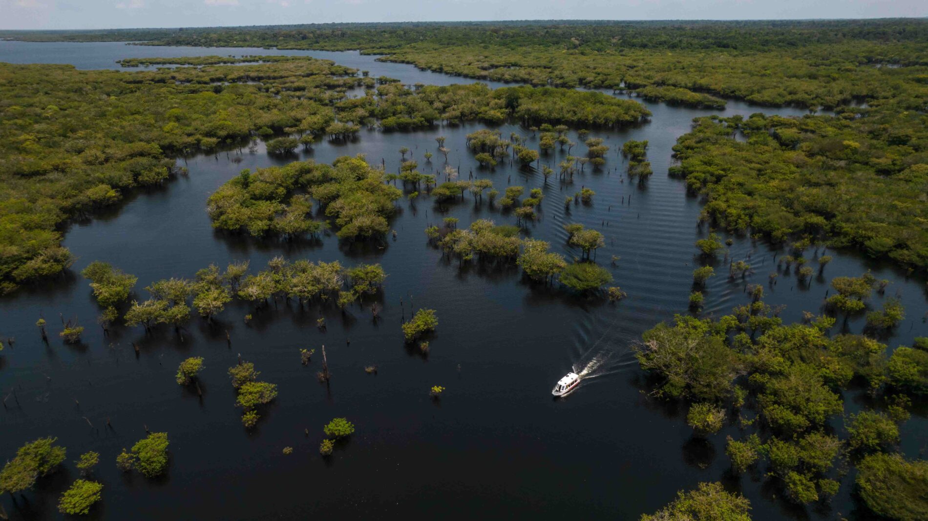 Um barco navegando por um pântano visto de cima.