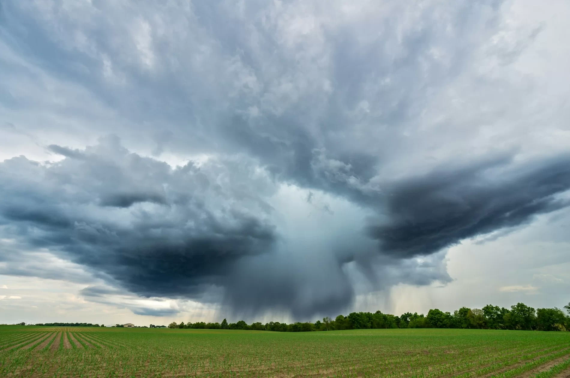 Fotografia da paisagem de um campo verde sob um céu nublado