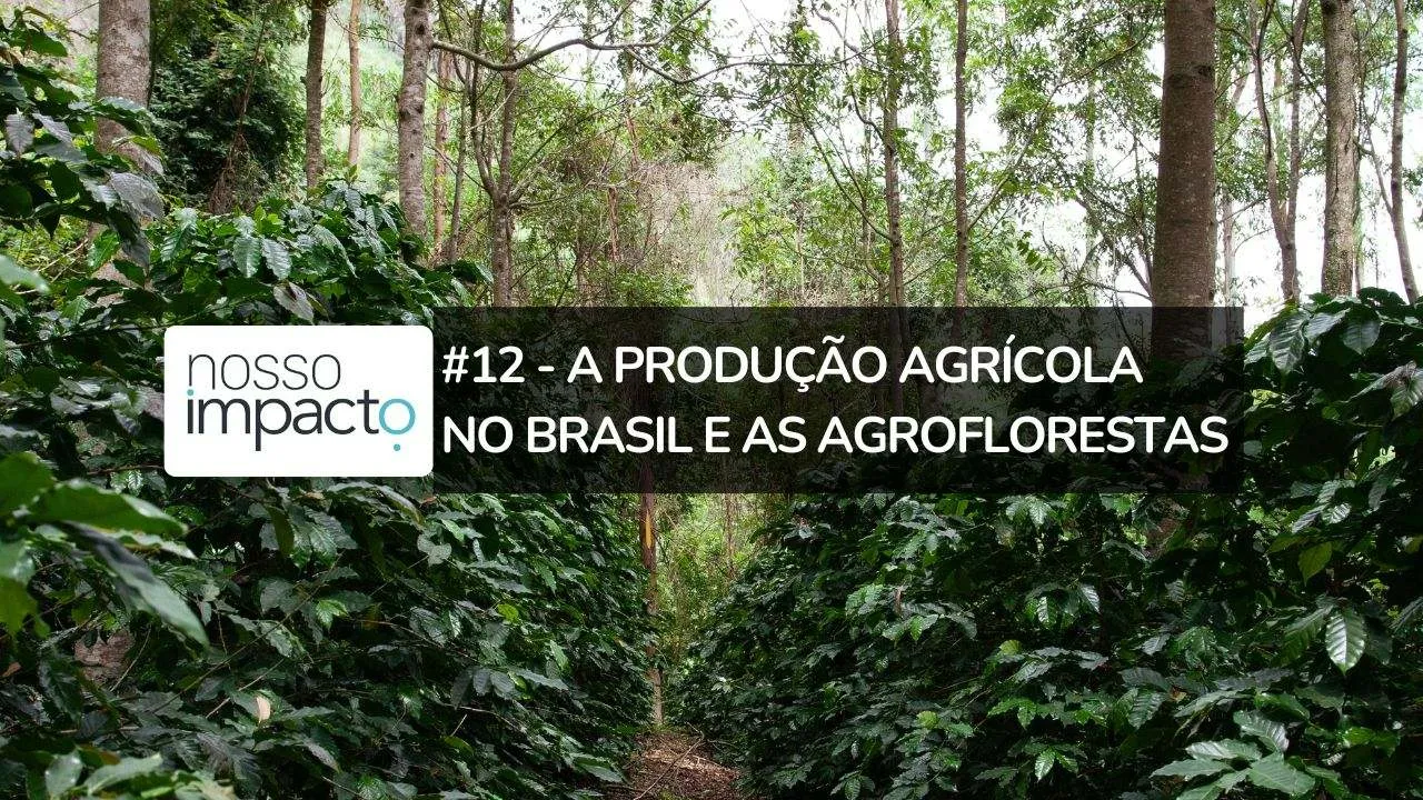 Imagem de agrofloresta.