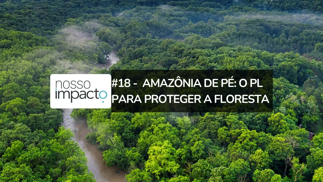 Uma imagem aérea da floresta amazônica.