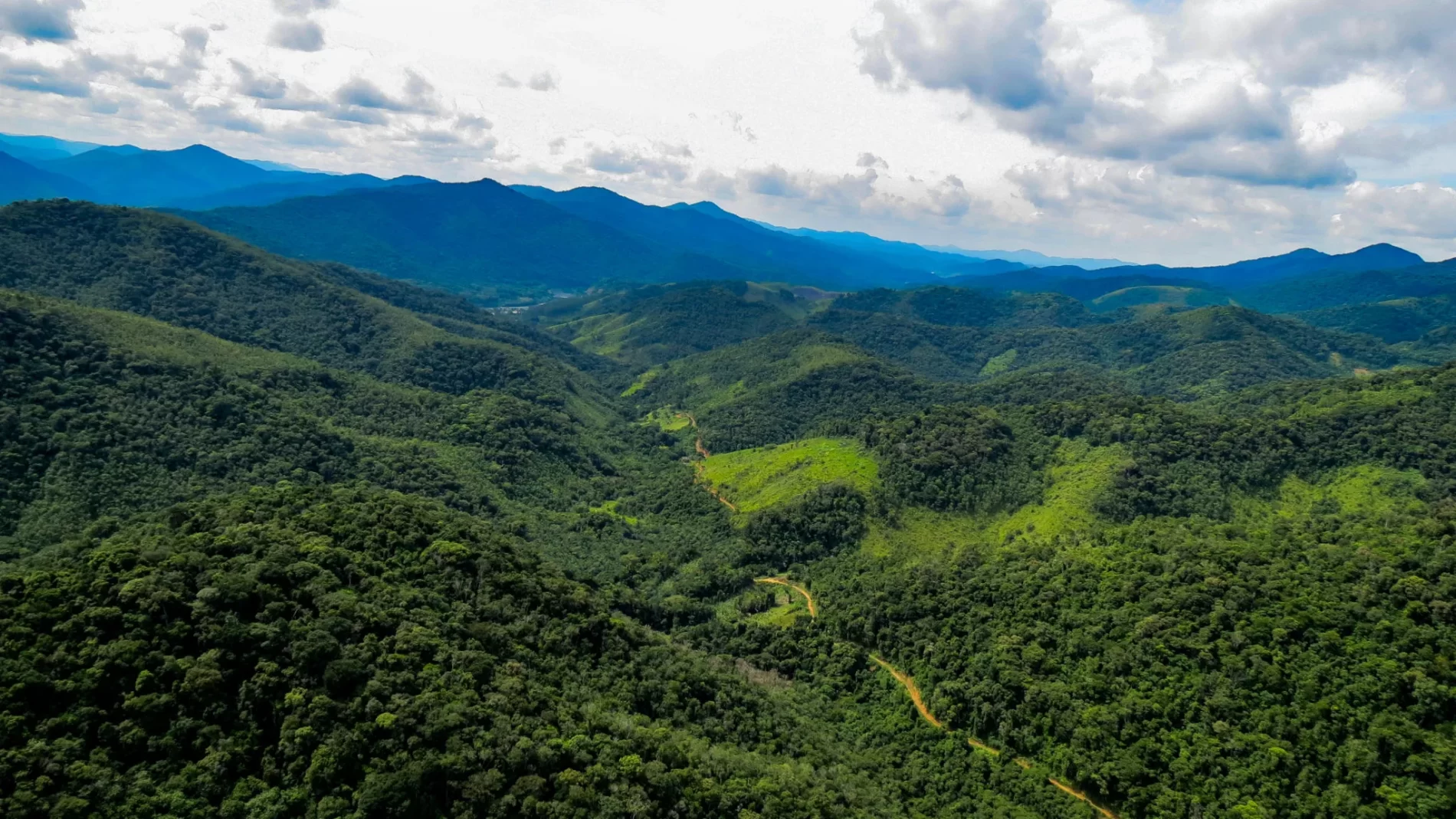 Vista aérea para o Parque Estadual da Serra do Mar