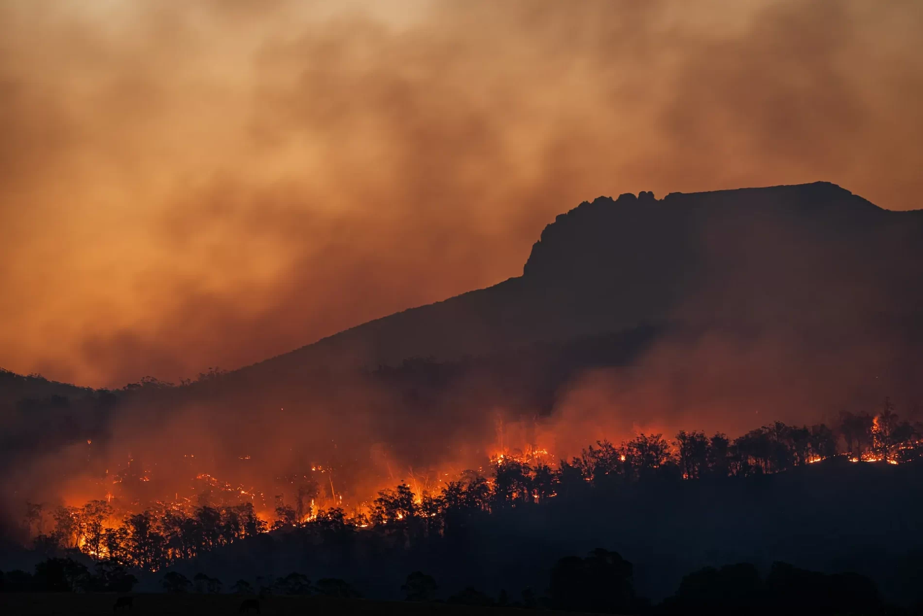 Imagem de um incêndio florestal nas colinas próximas à costa.