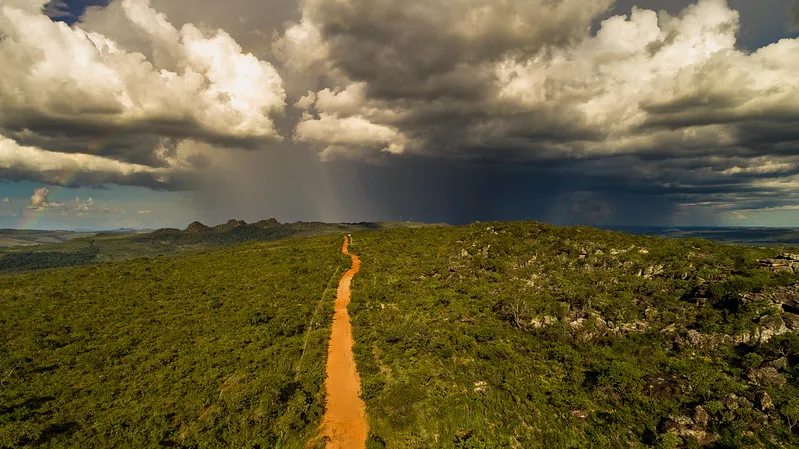 Imagem de caminho de terra com árvores aos lados.