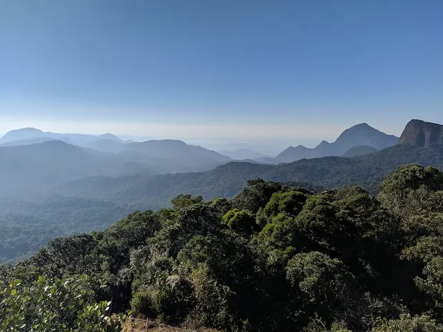 Árvores verdes na montanha sob o céu azul durante o dia