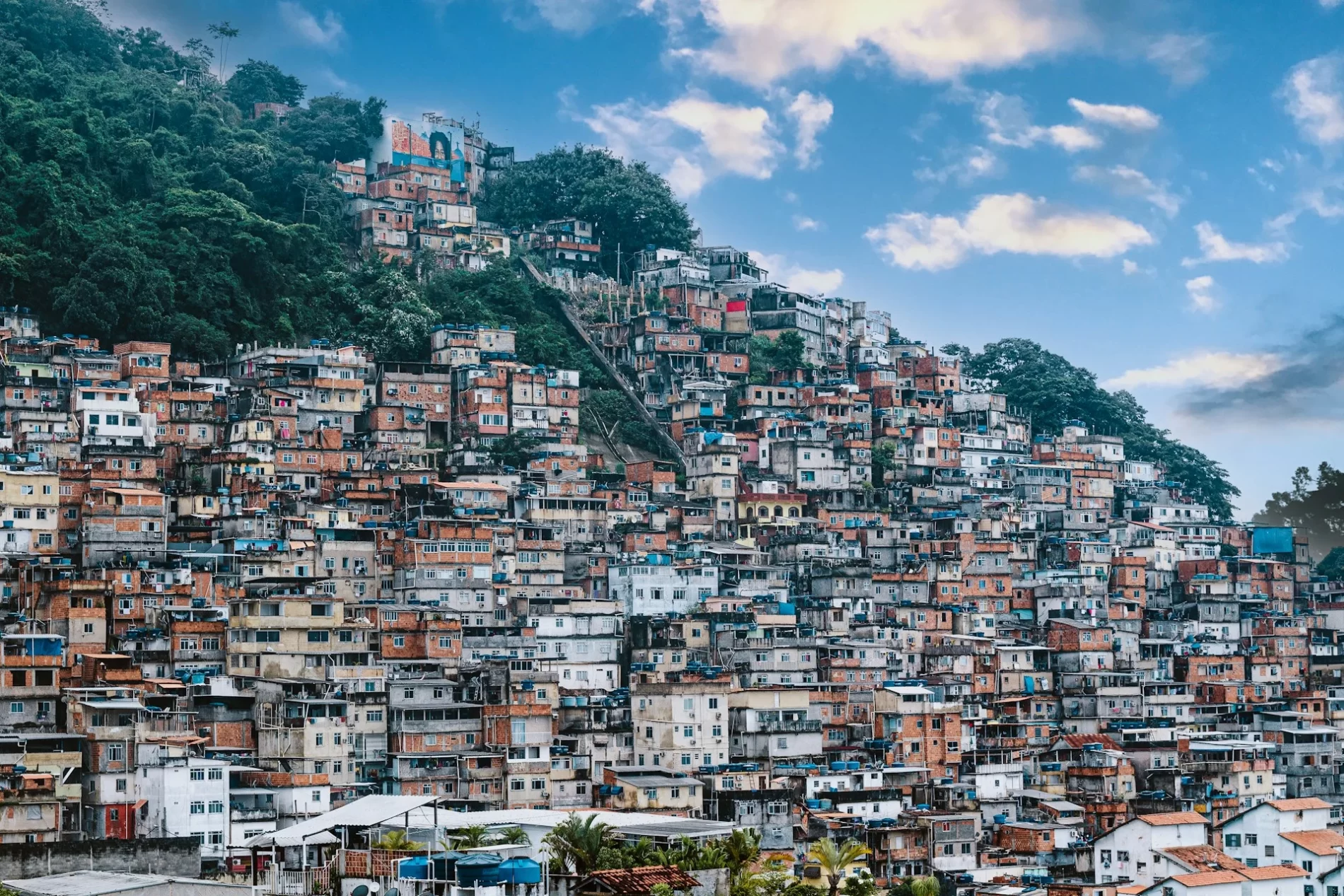 Uma encosta coberta de muitas casas ao lado de uma floresta