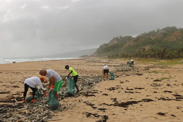 Imagem de pessoas limpando a praia com sacos e lixo.