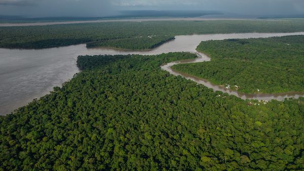 Imagem da vista aérea da Floresta Amazônica