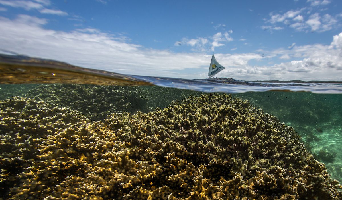 Imagem de um veleiro que navega no oceano próximo a recifes de coral.