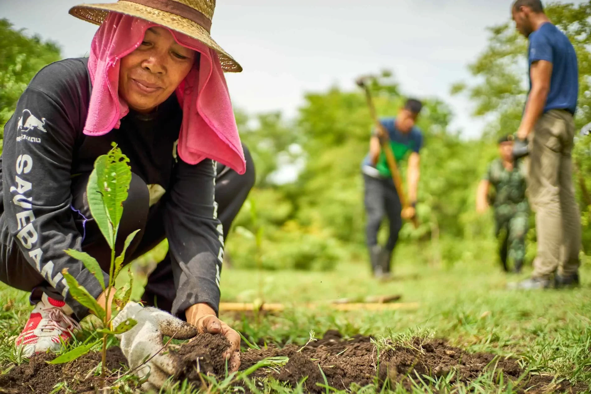 Uma mulher agachada usando um chapéu plantando uma muda no solo