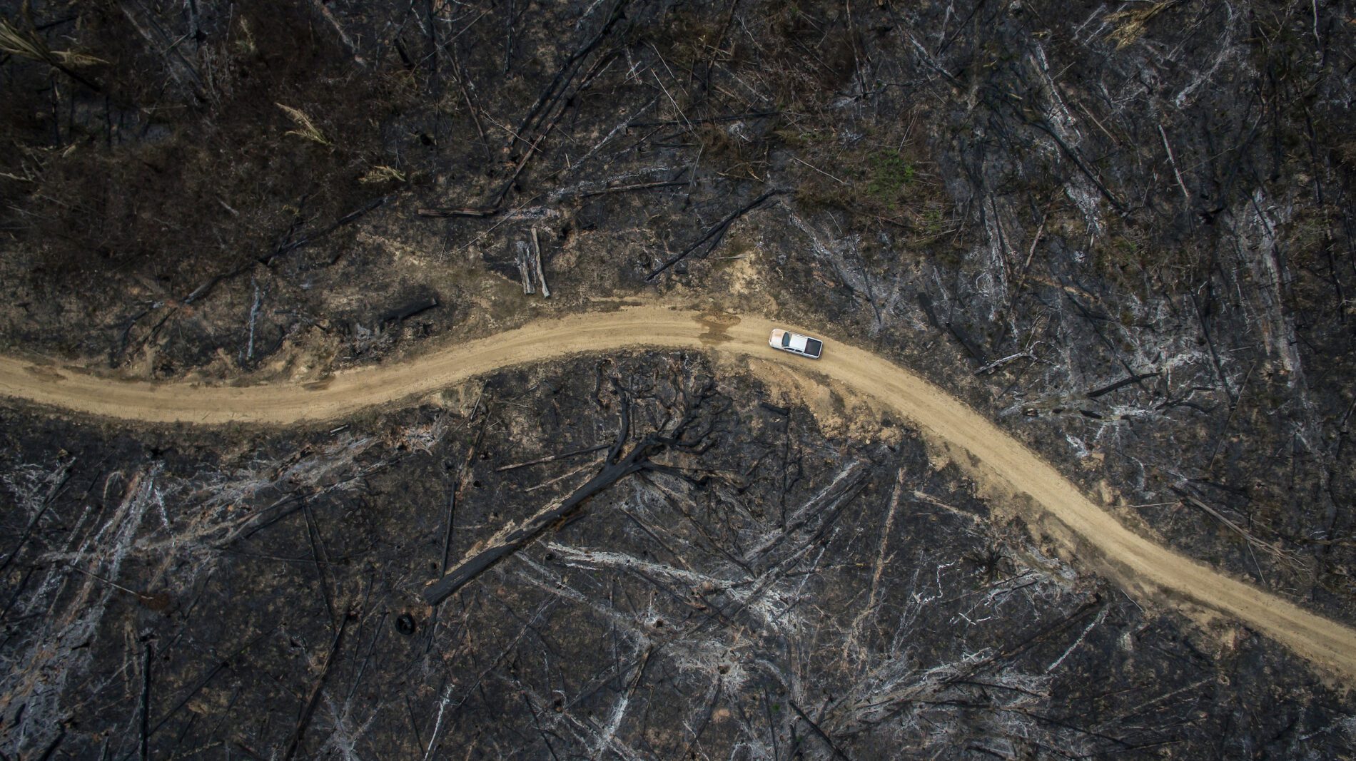 Uma visão aérea de uma estrada no meio de uma floresta queimada.