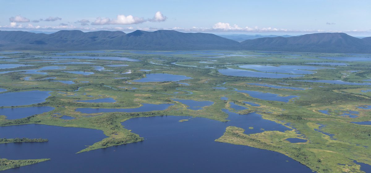 Imagem da vista aérea de um pantanal.