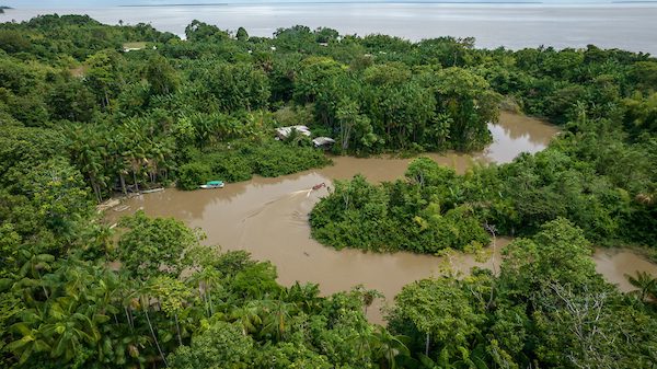 Imagem da vista aérea de um rio na floresta.