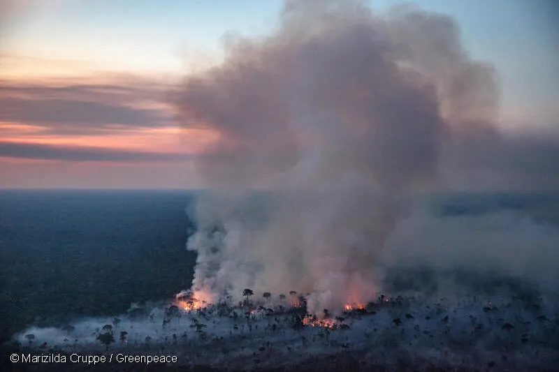 Imagem de um incêndio florestal em chamas no meio da floresta.