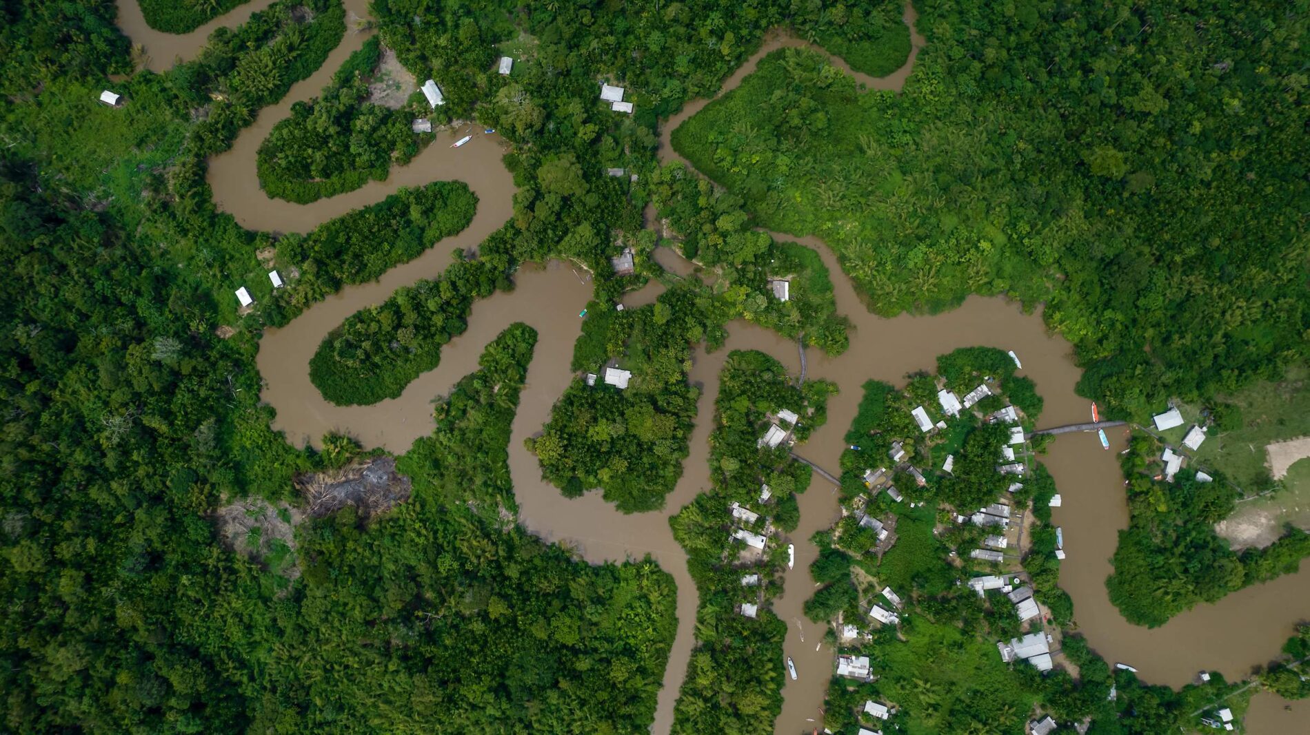 Uma vista aérea de um rio e uma floresta.