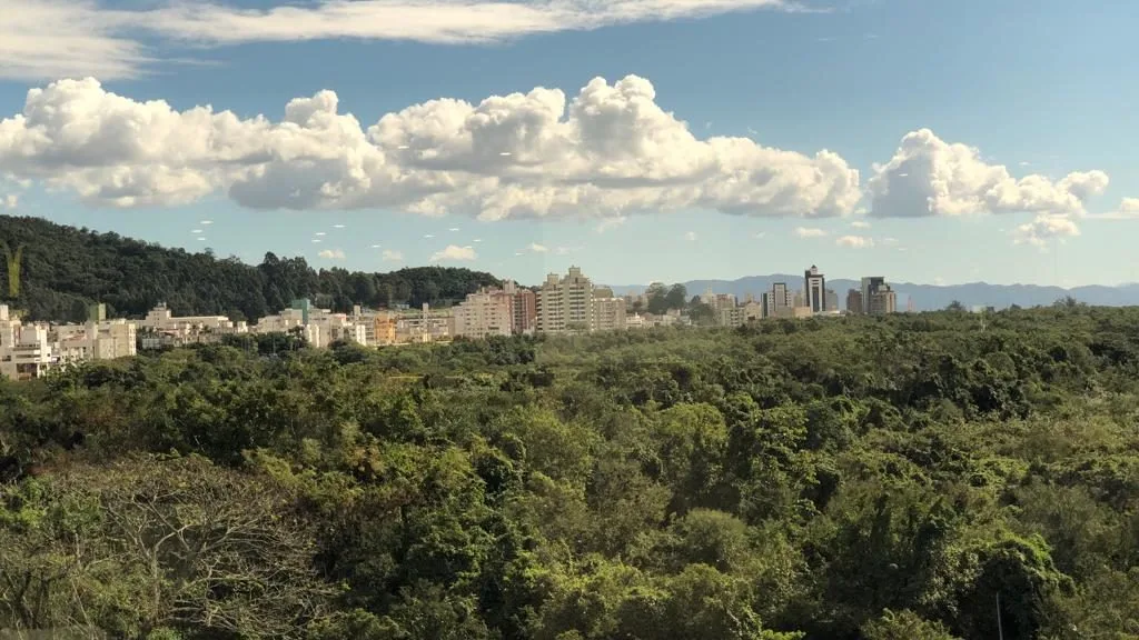 Manguezais em Florianópolis (SC) próximo aos grandes centros comerciais